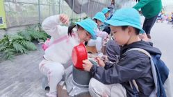 -前小桔亲子创意农场·草莓采摘·露营烧烤