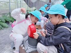 -前小桔亲子创意农场·草莓采摘·露营烧烤