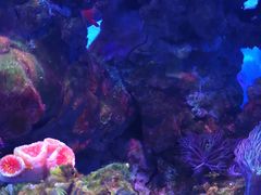 -多彩贵州城极地海洋世界