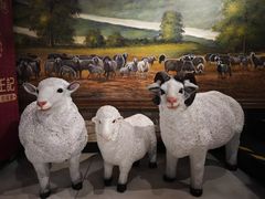 -快乐小羊·内蒙牛羊肉火锅(流花中心店)