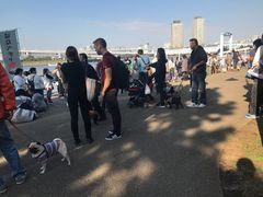 -台场海滨公园船码头