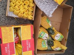 -双福水果批发市场