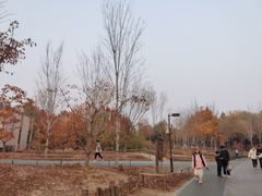 -回龙观体育文化公园