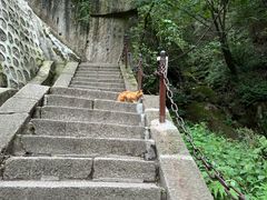 -华山风景名胜区