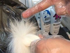 -萌兽医馆·眼科·异宠专科(三里屯店)