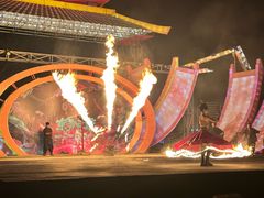 -武汉园博园(武汉自然博物馆)