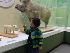 -国家自然博物馆