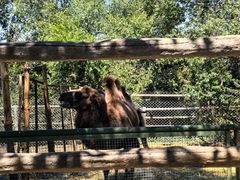 -青藏高原野生动物园