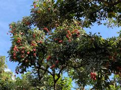 -水濂山森林公园