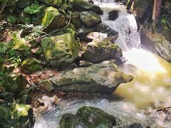 -藏龙百瀑风景区