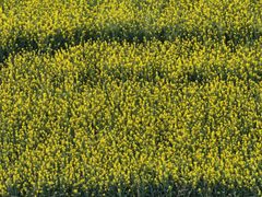 -西南政法大学(渝北校区)