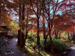 -三千院