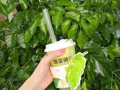 -萃茶师(琅西店)