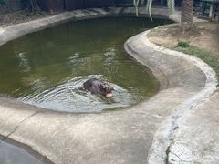 -泉州海丝野生动物世界