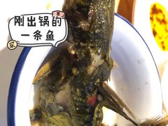 -小小河边鱼(天润城店)