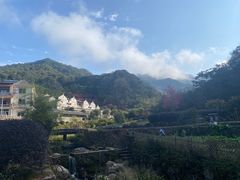 -雁南飞茶田景区