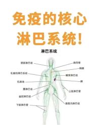 -名发世家烫染