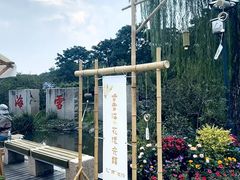 -香雪海