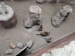 -长鹿旅游休博园