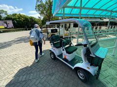 -上海海湾国家森林公园