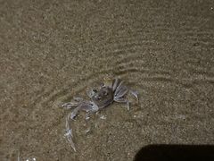 -海南清水湾莱佛士酒店