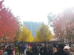 -辽宁大学(崇山校区)