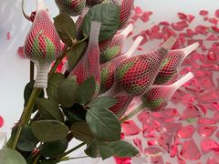 -庐山天沐温泉度假村