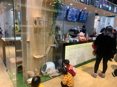 -藏猫猫咖啡主题馆(中央大道店)
