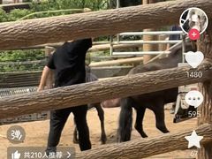-太原动物园