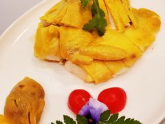 -金成潮菜博物馆(海珠湿地店)