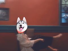 -秀·爱尔兰餐吧(上海路店)