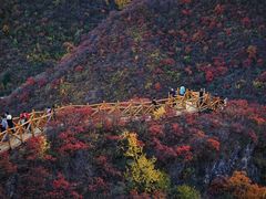 -水峪民俗村