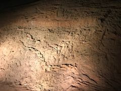 -世界恐龙谷景区