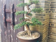 -荔湾博物馆