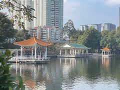 -荔湾湖公园