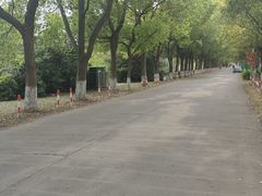 -龙湖冠寓(上海闵行星悦荟店)