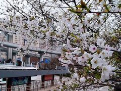 -上海南浦大桥长途旅游客运站