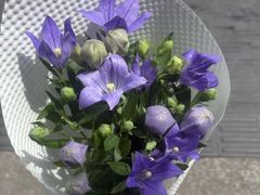 -亭亭鲜花店(中山北路店)