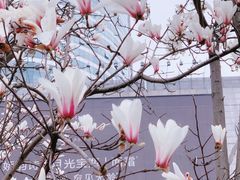 -人民广场