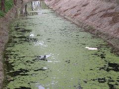 -永定河休闲森林公园