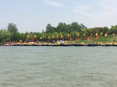 -溱湖国家湿地公园