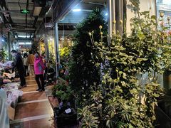 -朝来春花卉市场