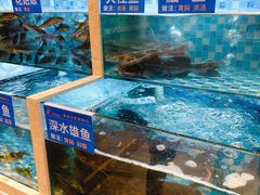 水产区-饭橘汉江码头·乡野土菜馆(静安路店)