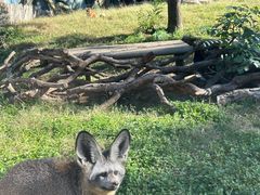 -郑州银基国际旅游度假区