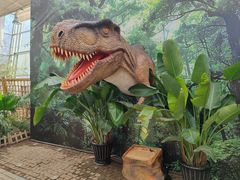 -沈阳植物园