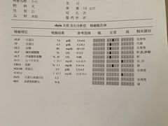 -安安宠医宠物医院·异宠·犬猫内科(岳阳分院)