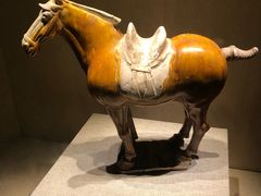 -宁夏博物馆