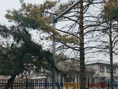 -东北农业大学