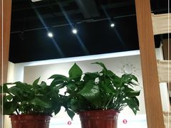 大堂-杨翔豆皮涮牛肚(华阳城店)