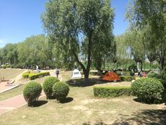 -丁香湖公园